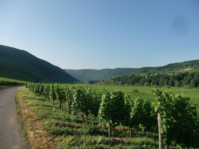 Others 4, Ruckzugsort an der Mosel, Cochem-Zell