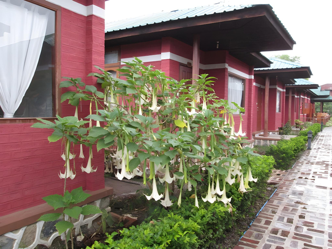 Others 5, Pyi Guest House, Taunggye