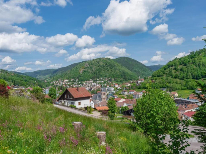 Others 4, Awesome chalet in La Bresse with , Vosges