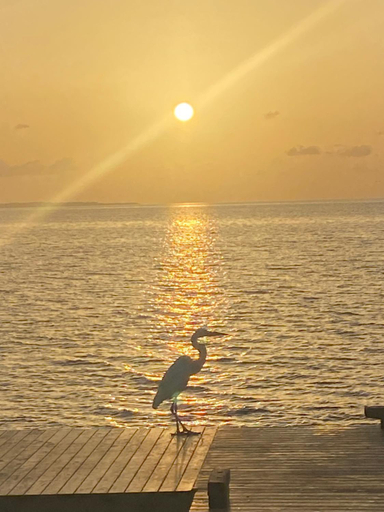 Others 4, Caribbean apartment in private area, Isla Mujeres