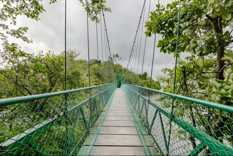 Others 4, The River Tern Lodge - Junglelodges, Chikmagalur