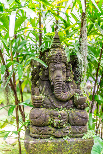 Others 5, Villa Bindi, Gianyar