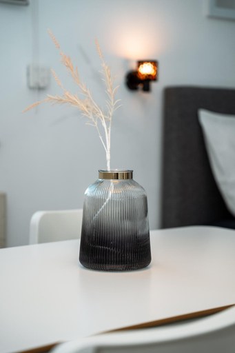 Others 4, Studioapartment Black & White, Velika Gorica
