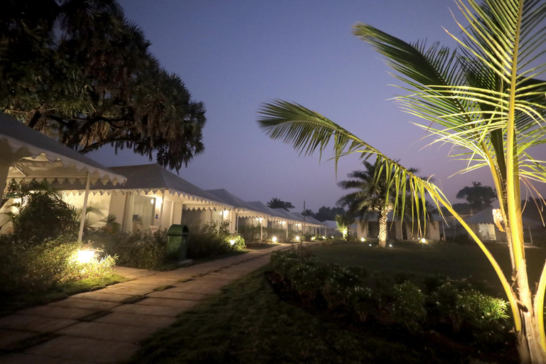 Others 2, The Fern Seaside Luxurious Tent Resort Daman, Series by Marriott, Daman