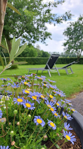 Others 3, Hoeve Zandbelt, Hof van Twente