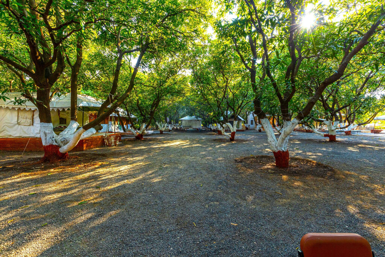 Public Area 2, The Brook Ville, Junagadh