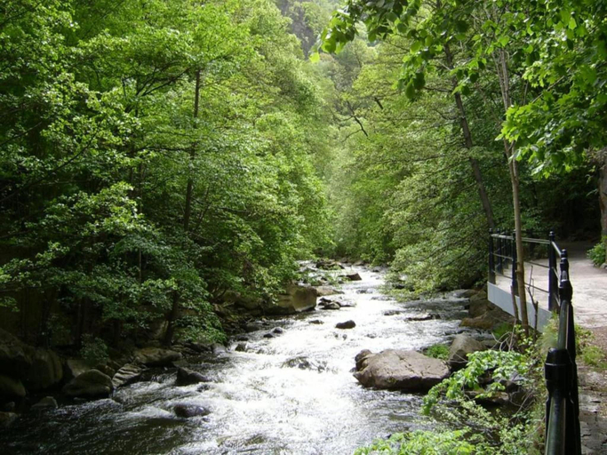 Others 5, Geraumiger Aufenthalt auf mehreren Ebenen, Harz