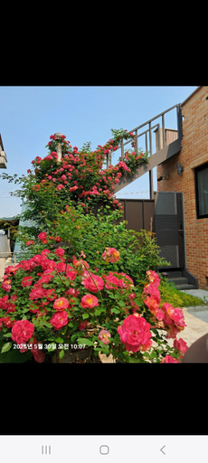 Others 4, Angel B&B, Gangseo