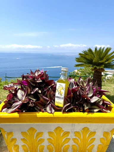 Food & Drinks 5, Wonderhome Praiano, Salerno