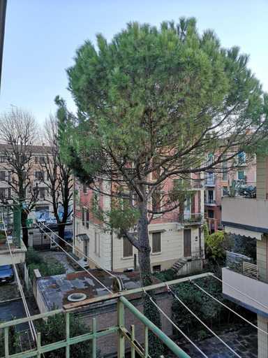 Others 4, Ricordo del mare, Bologna