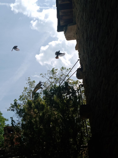 Others 3, Bed and Breakfast Nicole Ponti, Alessandria