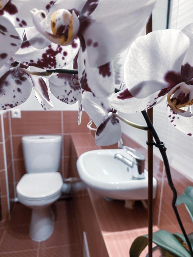 Bathroom 2, Marina, Anapskiy rayon