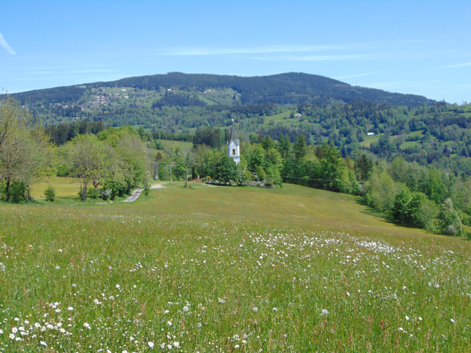 Others 4, Apartmany u medvedu Krkonose, Semily