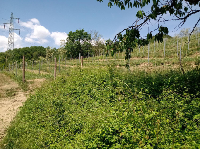 Others 2, Bed and Breakfast Nicole Ponti, Alessandria