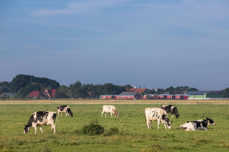 Others 2, Ferienhof Schild, Friesland