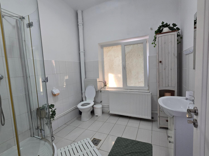 Bathroom 2, Casa Aurora, Calimanesti