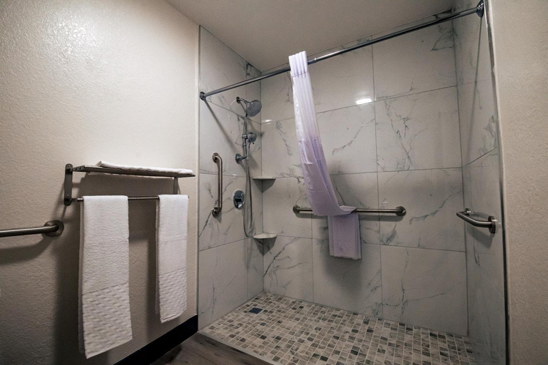 Bathroom 5, Surestay By Best Western Forsyth, Rosebud