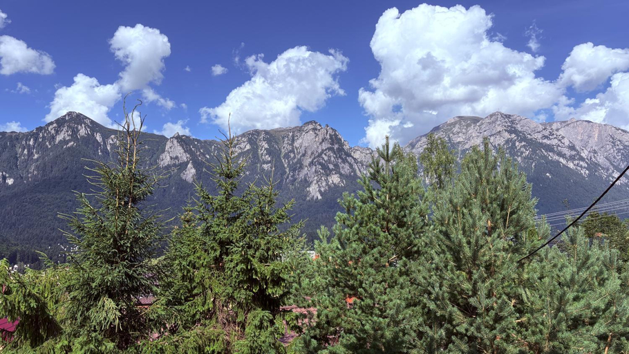 Others 5, Venus - Apartamente de inchiriat, Busteni