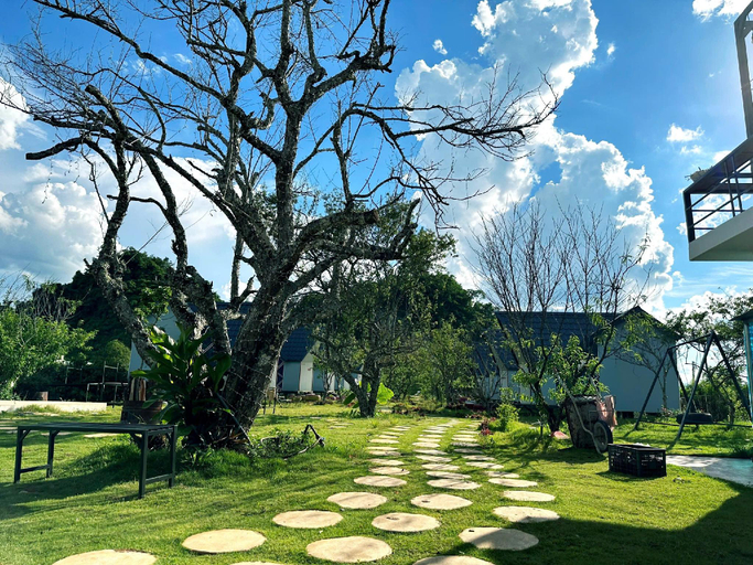 Others 4, Mimosa Moc Chau, Mộc Châu