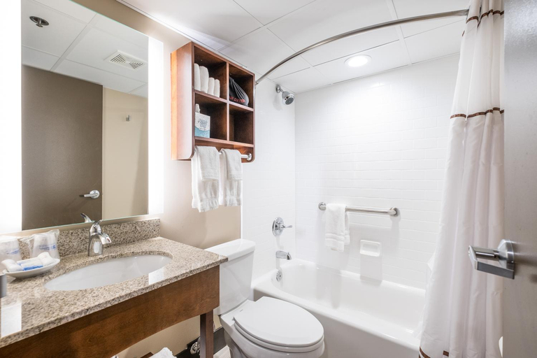 Bathroom 4, Radisson Hotel St. Paul Downtown, Ramsey