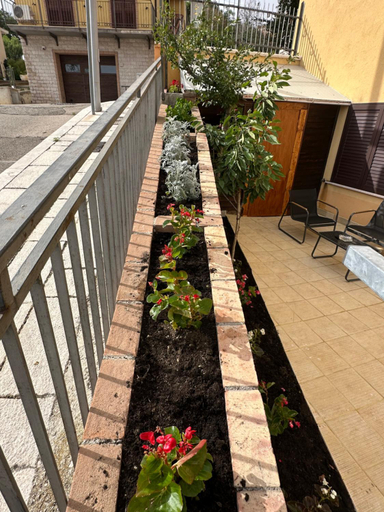 3, B&B Dimora Saracena, Campobasso