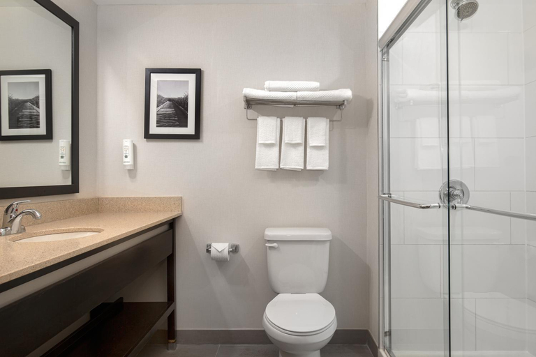 Bathroom 4, Quality Inn & Suites, Frontenac