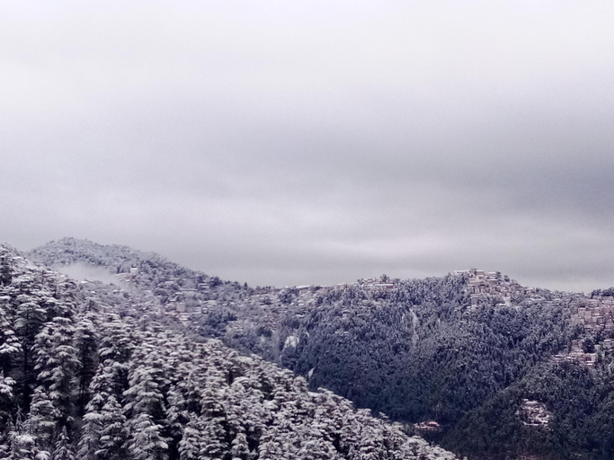 Others 3, Shimla Regency, Shimla