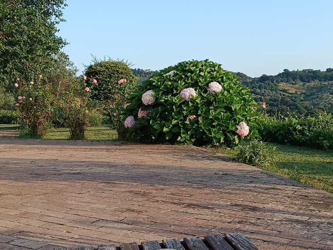 Others 3, Santa Lucia B&B, Caserta