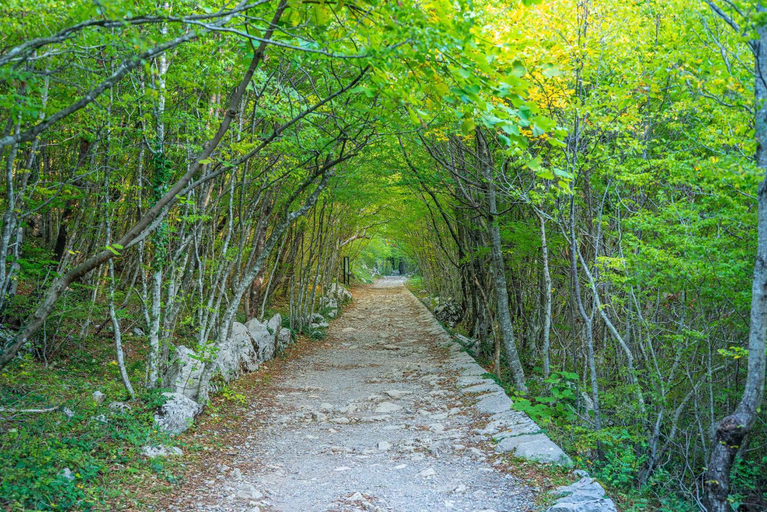 Others 4, Studio in Starigrad-Paklenica 43596, Starigrad