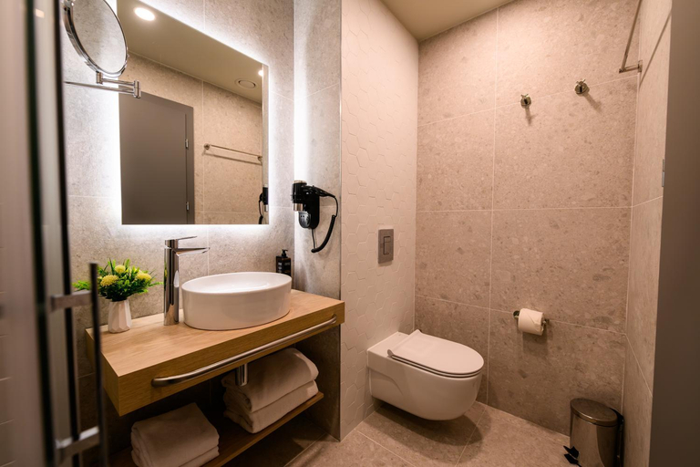 Bathroom 4, Mercure Alba Iulia (Opening August 2025), Alba Iulia