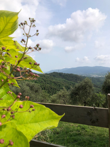 Others 4, Saint Roch - camera privata con bagno - vista su giardino - colazione, La Spezia
