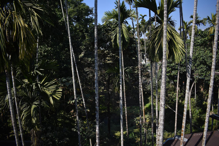 Others 5, Jaldapara binay chapa homestay , Alipurduar
