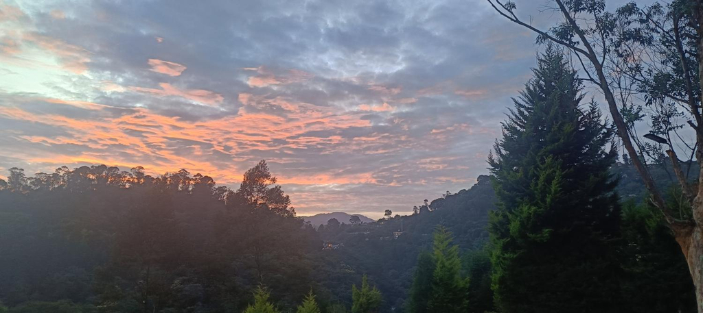 Others 3, White Fern, Jungle View Stay, The Nilgiris
