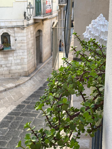 Others 5, VISCHI Apartment Trani by LE MARINELLE Loc Turistica, Barletta-Andria-Trani