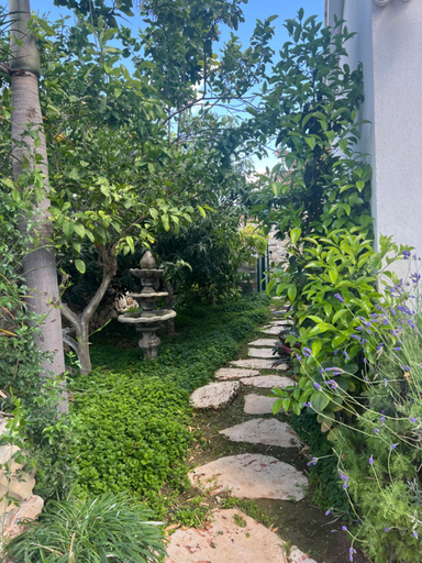 Others 2, הסוויטה הפנורמית - Panoramic Suite