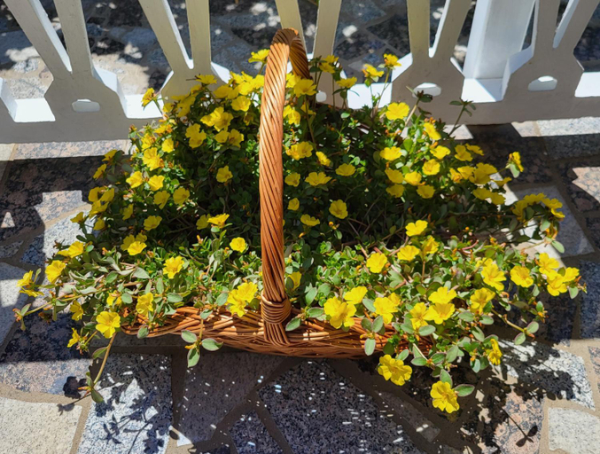 Others 3, Apartmani i sobe Mara, Lopar/Supetarska Draga