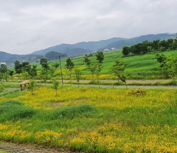 Others 3, Buyeo Eoksae Jeongwon Pension, Buyeo