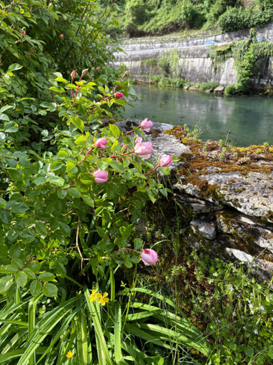 Others 5, Au fil de Lods, Doubs