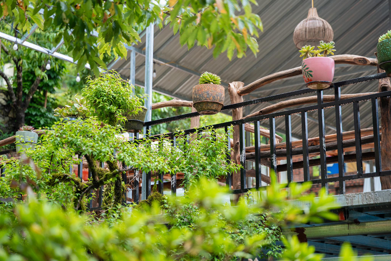 Public Area 2, Eco Farmer House - Muong Hoa Valley, Sapa, Sa Pa
