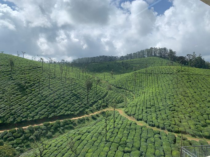 Others 3, Maryland Homestay, Coimbatore
