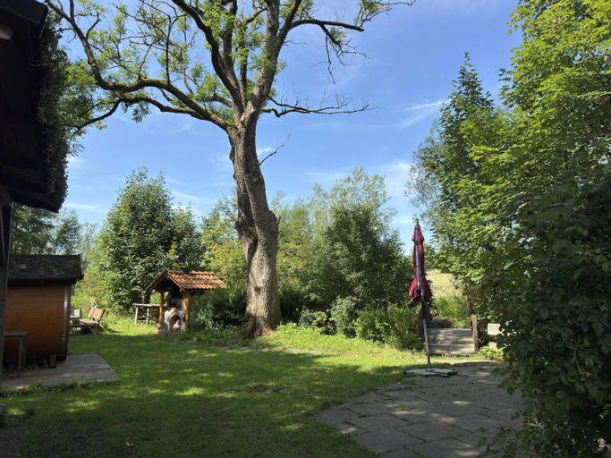 Others 5, Ferienhaus, Buntenbock, Goslar