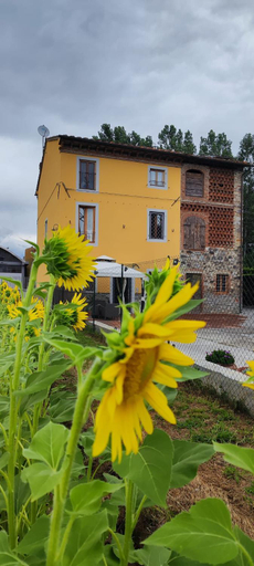 Exterior & Views 2, B&B Toringo, Lucca