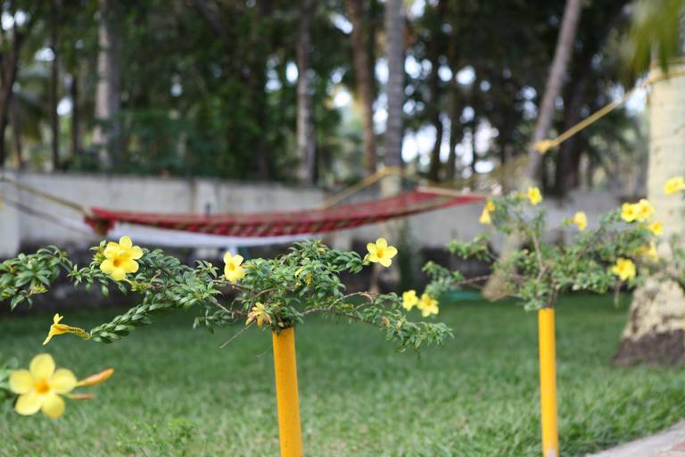 Others 5, Savithri Inn Bamboo Cottages and Resorts, Thiruvananthapuram