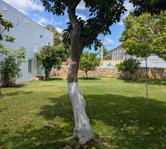 Others 3, Carambola Rooms, Campeche