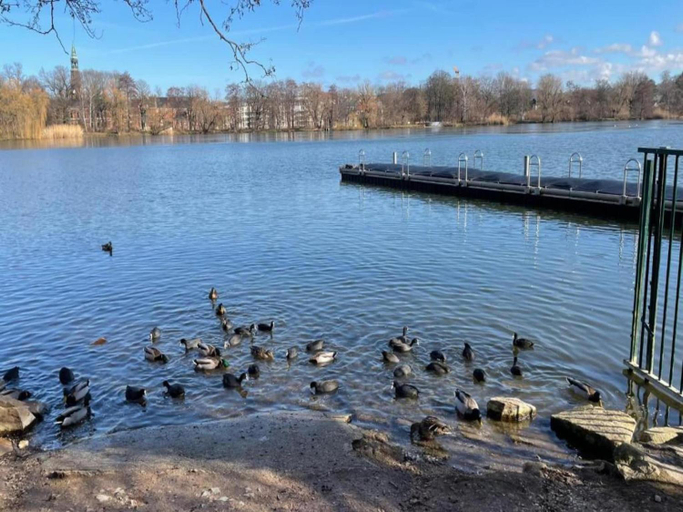 Others 3, City Stay in Zwickau, Zwickau
