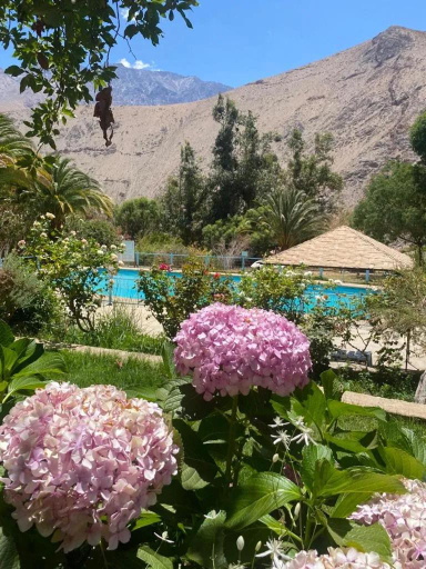 2, Cabanas Pisco Elqui, Elqui