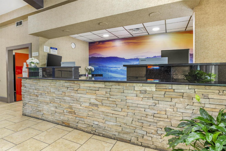 Public Area 3, Best Western Asheville Blue Ridge Parkway, Buncombe