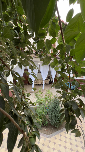 Others 5, B&B Giza, Samarkand
