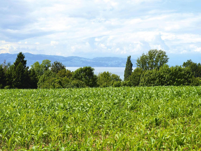 Surrounding environment 5, Holiday Park, Immenstaad, Bodenseekreis