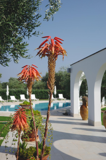 Others 5, L'Ulivo Bed and Breakfast, Brindisi